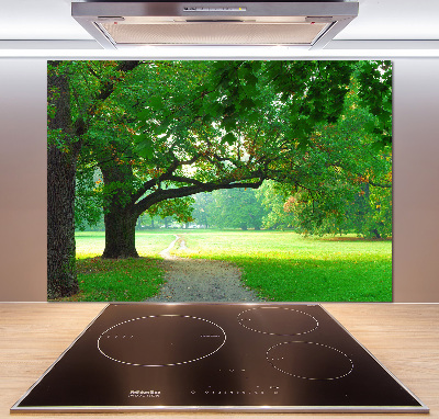 Glasrückwand für die küche Park im Herbst