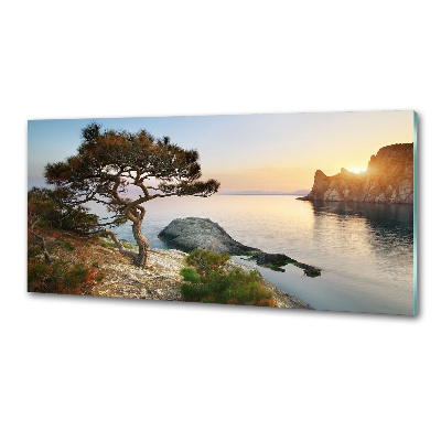 Platte für Küchenrückwand Ein Baum am Meer