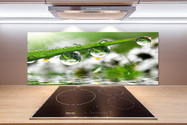 Glasrückwand für die küche Tropfen auf dem Gras