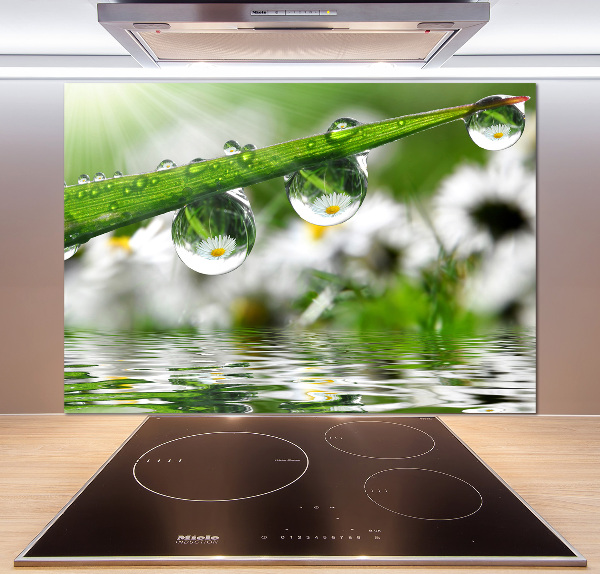 Glasrückwand für die küche Tropfen auf dem Gras