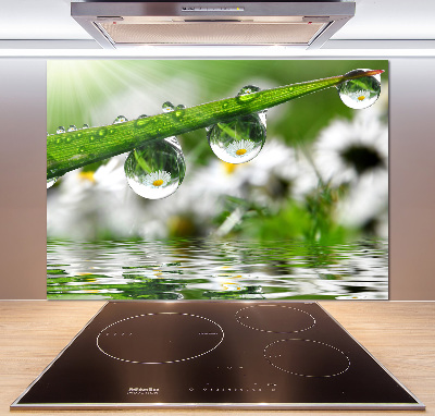 Glasrückwand für die küche Tropfen auf dem Gras