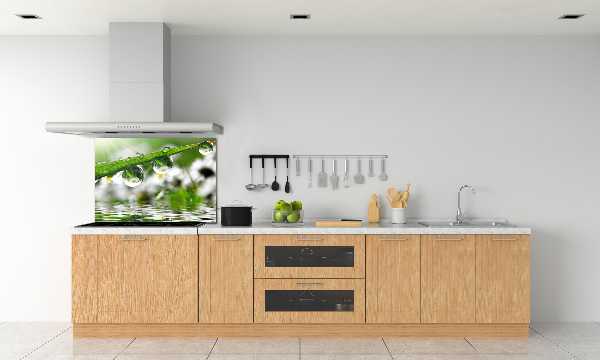 Glasrückwand für die küche Tropfen auf dem Gras