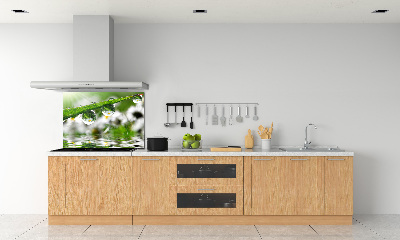 Glasrückwand für die küche Tropfen auf dem Gras