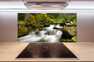 Küchen wandpaneel Olczyski-Bach