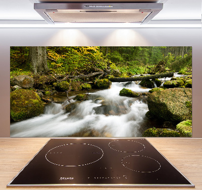 Küchen wandpaneel Olczyski-Bach