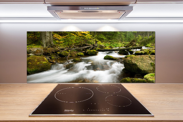 Küchen wandpaneel Olczyski-Bach