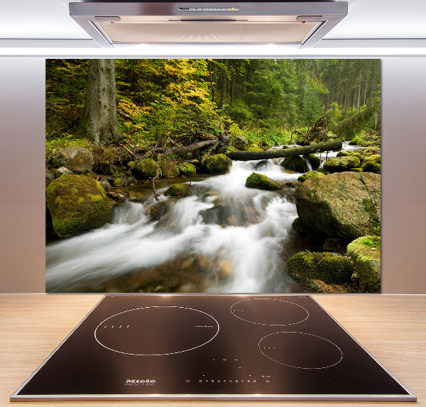 Küchen wandpaneel Olczyski-Bach