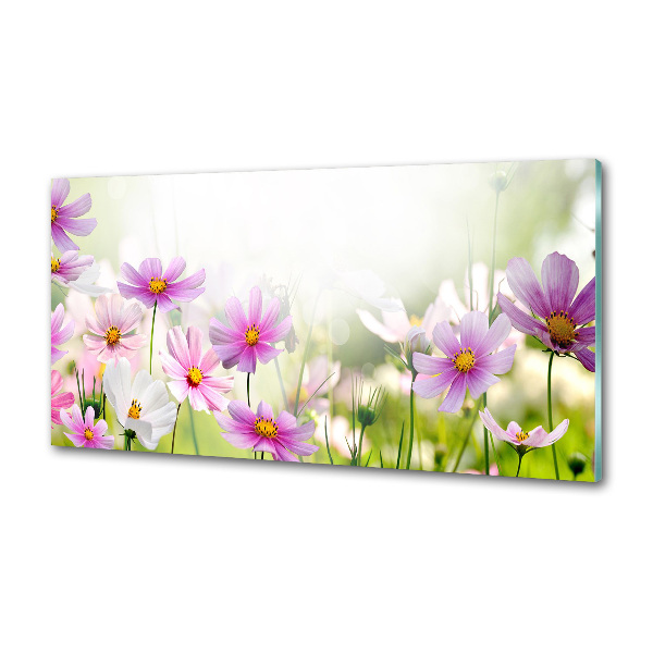 Platte für Küchenrückwand Blumen auf der Wiese