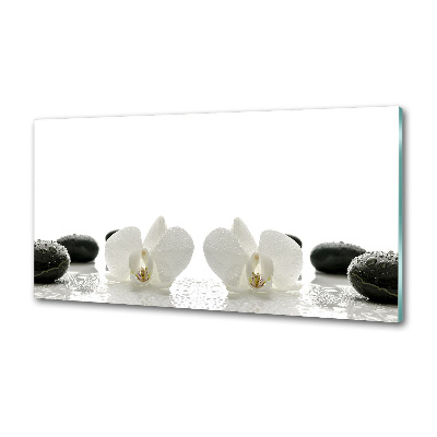 Küchen wandpaneel Orchidee