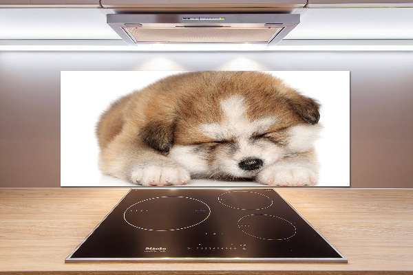 Küchen wandpaneel Akita-Welpe