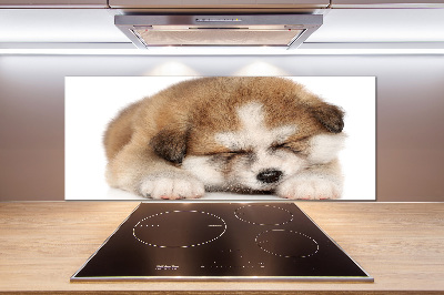 Küchen wandpaneel Akita-Welpe