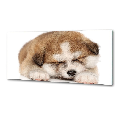 Küchen wandpaneel Akita-Welpe