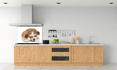 Küchen wandpaneel Akita-Welpe