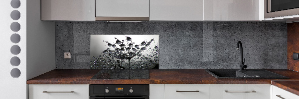 Glasrückwand für die küche Löwenzahnsamen