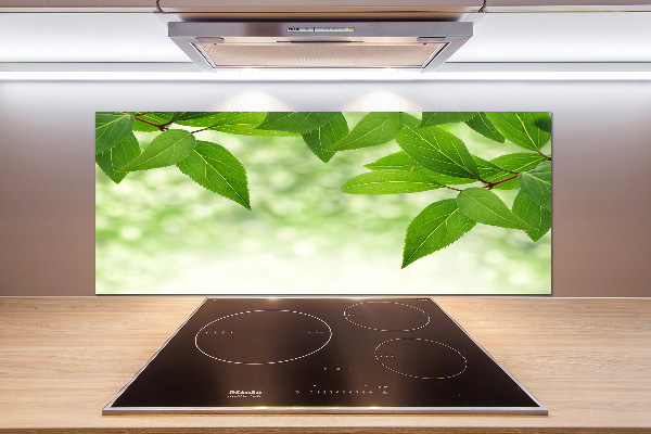 Küchen wandpaneel Grüne Blätter