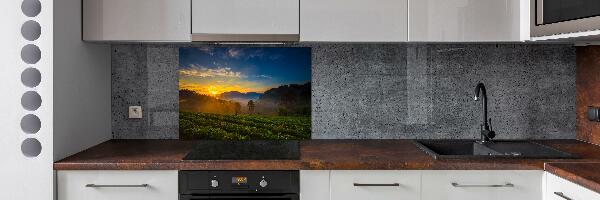 Küchen wandpaneel Teeplantage