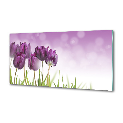 Glasrückwand für die küche Lila Tulpen