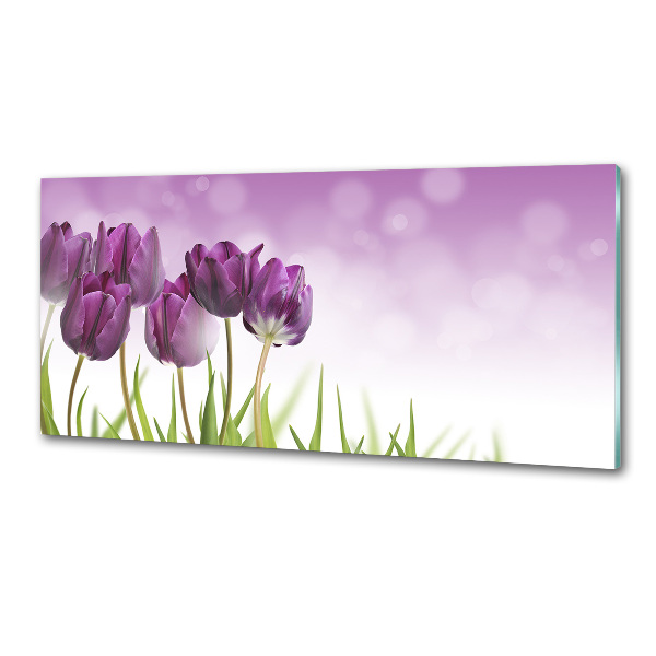 Glasrückwand für die küche Lila Tulpen