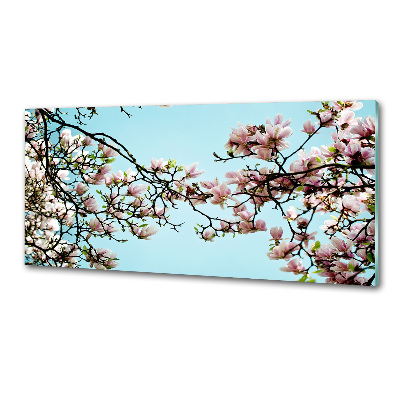 Platte für Küchenrückwand Magnolienblüten