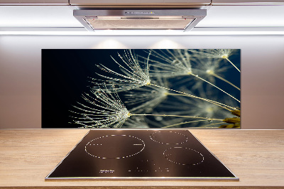 Küchen wandpaneel Löwenzahnsamen