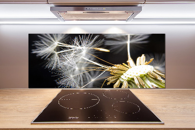 Glasrückwand für die küche Löwenzahnsamen