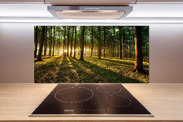 Küchen wandpaneel Sonnenstrahlen