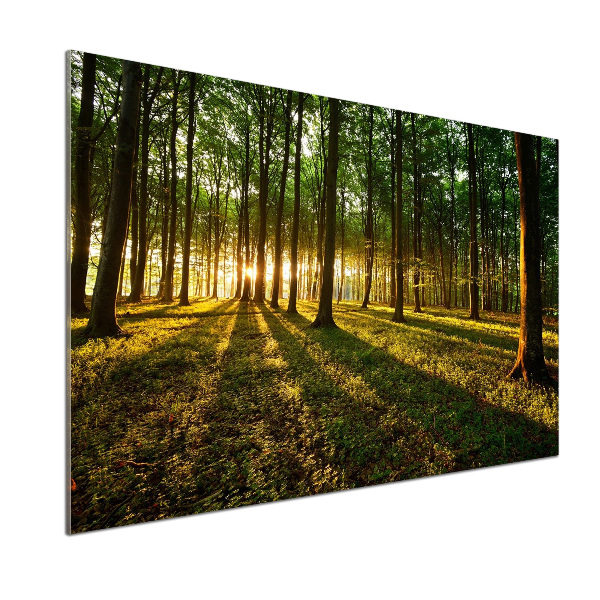 Küchen wandpaneel Sonnenstrahlen