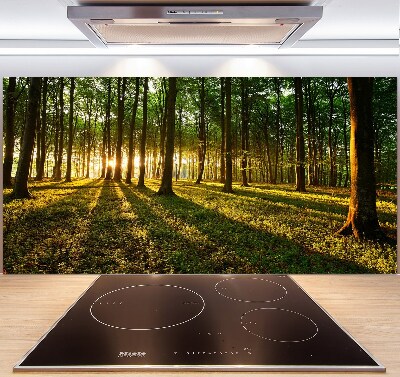 Küchen wandpaneel Sonnenstrahlen