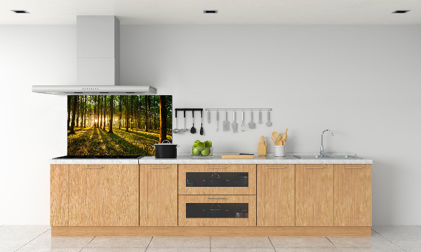 Küchen wandpaneel Sonnenstrahlen