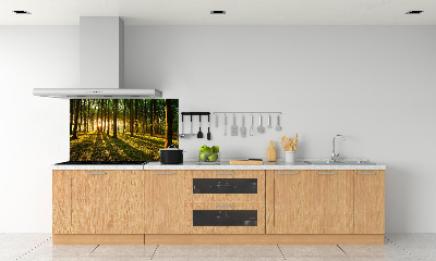 Küchen wandpaneel Sonnenstrahlen