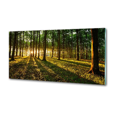 Küchen wandpaneel Sonnenstrahlen