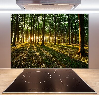 Küchen wandpaneel Sonnenstrahlen