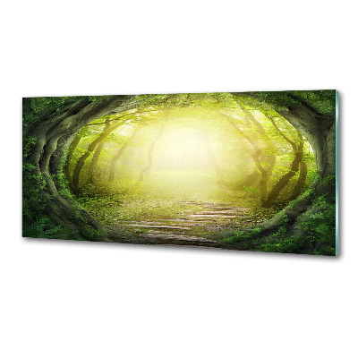 Glasrückwand für die küche Baumtunnel