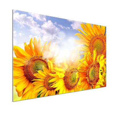 Platte für Küchenrückwand Sonnenblumen