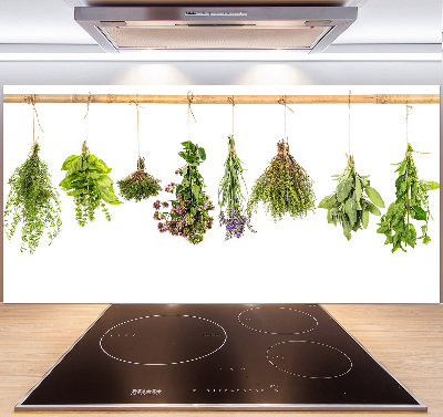 Glasrückwand für die küche Kräuter an einer Schnur