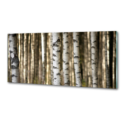 Küchen wandpaneel Birken