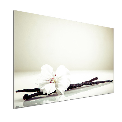 Glasrückwand für die küche Vanilleschote