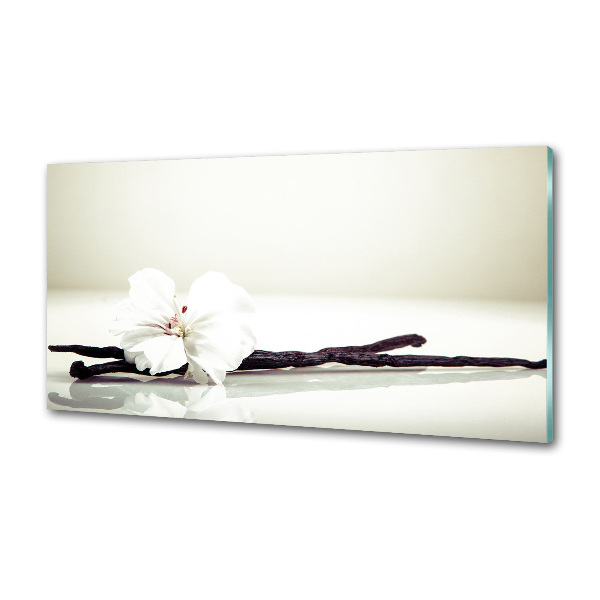 Glasrückwand für die küche Vanilleschote