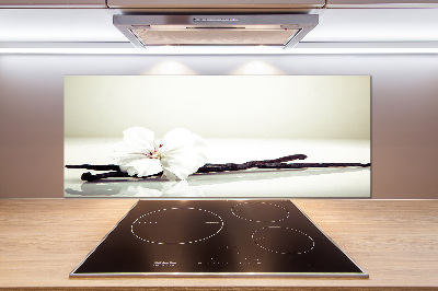 Glasrückwand für die küche Vanilleschote