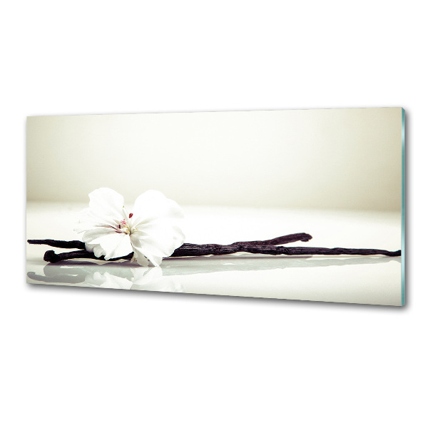 Glasrückwand für die küche Vanilleschote