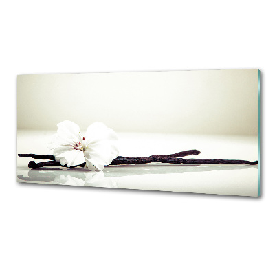 Glasrückwand für die küche Vanilleschote