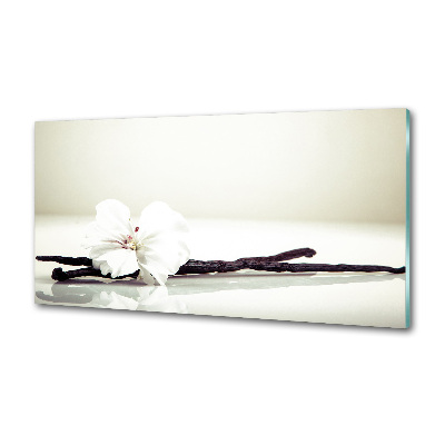 Glasrückwand für die küche Vanilleschote