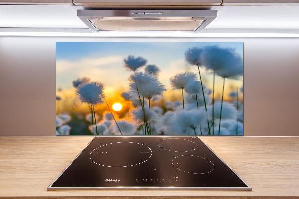 Küchen wandpaneel Wollgras