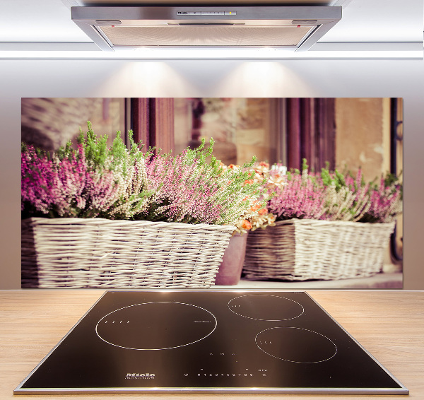 Glasrückwand für die küche Lavendel im Topf