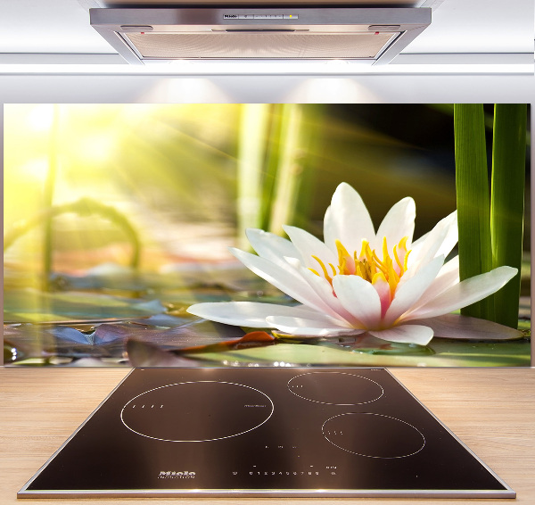 Platte für Küchenrückwand Seerose