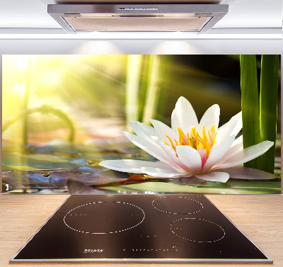 Platte für Küchenrückwand Seerose