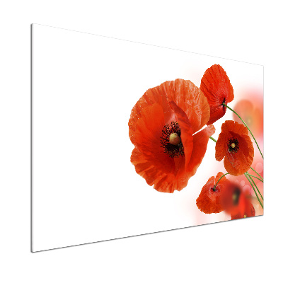 Küchen wandpaneel Mohnblumen