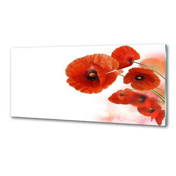 Küchen wandpaneel Mohnblumen