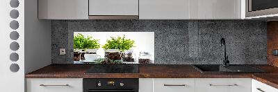 Glasrückwand für die küche Kaffeehaus-Thema