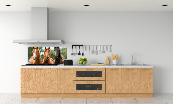 Glasrückwand für die küche Drei Pferde